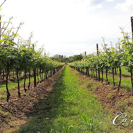 Agriturismo Ca'Mattei 佩斯坎蒂那 外观 照片