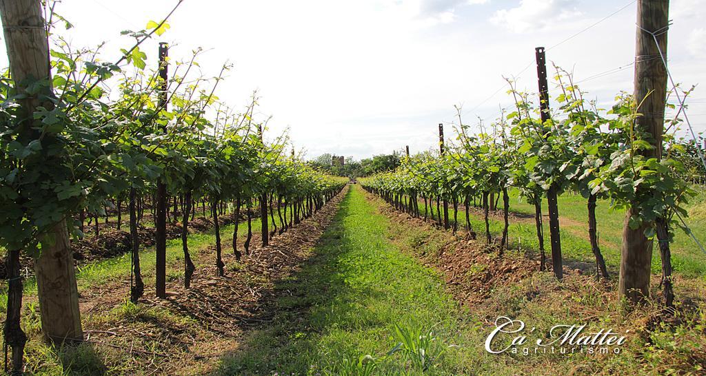 Agriturismo Ca'Mattei 佩斯坎蒂那 外观 照片