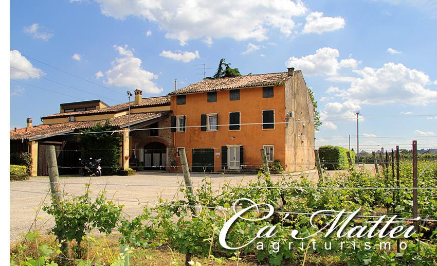 Agriturismo Ca'Mattei 佩斯坎蒂那 外观 照片