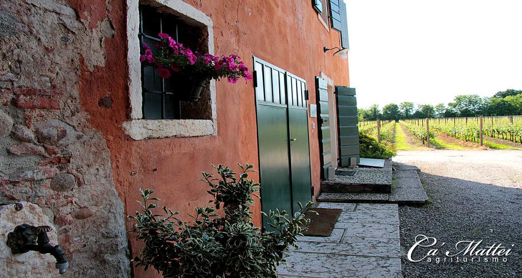 Agriturismo Ca'Mattei 佩斯坎蒂那 外观 照片