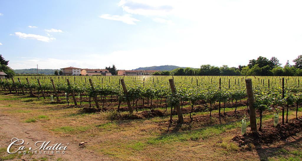 Agriturismo Ca'Mattei 佩斯坎蒂那 外观 照片